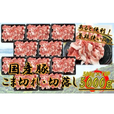 ふるさと納税 高松市 国産豚 こま切れ 5000g