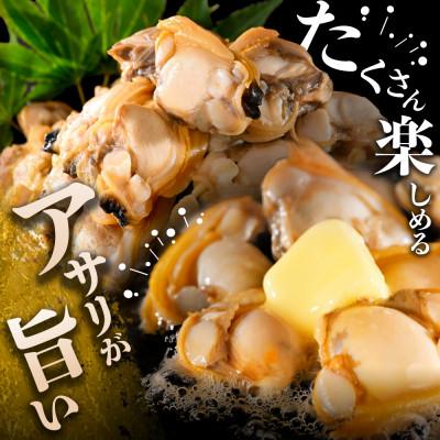 ふるさと納税 別海町 北海道野付産 あさり ボイルむき身 640g(小分け4P) 大粒国産冷凍 下処理不要 |  | 01