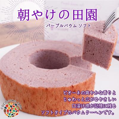 ふるさと納税 犬山市 [ココトモファーム]パープルバウム ソフト 朝やけの田園 ピオーネ