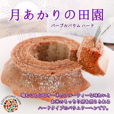 ふるさと納税 犬山市 [ココトモファーム]パープルバウム ハード 月あかりの田園 ピオーネ