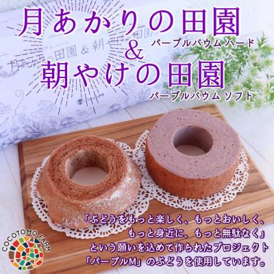 ふるさと納税 犬山市 [ココトモファーム]パープルバウム ギフトBOX(ハード&amp;ソフト)ピオーネ