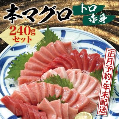 ふるさと納税 北山村 [年末発送・正月予約]本マグロ(養殖)トロ&amp;赤身セット 240g[nks113-sg]