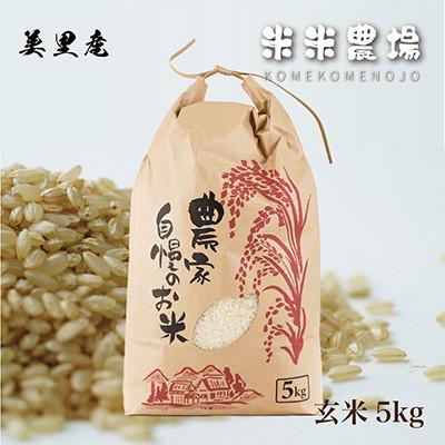 ふるさと納税 美里町 [令和7年産]九州のお米食味コンクール2年連続優勝!熊本県美里町のお米ヒノヒカリ玄米 5kg×1袋