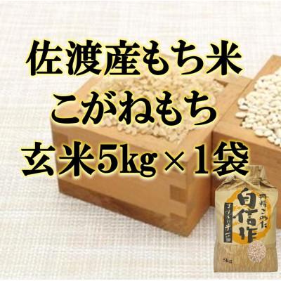 ふるさと納税 佐渡市 [令和7年産]佐渡産もち米 こがねもち 玄米5kg×1袋
