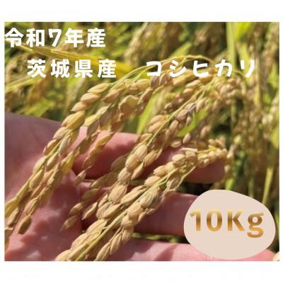 ふるさと納税 つくば市 [令和7年産]茨城県産コシヒカリ 精米10kg