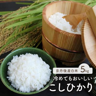ふるさと納税 京丹後市 令和7年産 京都・京丹後産コシヒカリ 5kg(5kg×1袋)自然な甘み、つやつや食感で美味しいお米