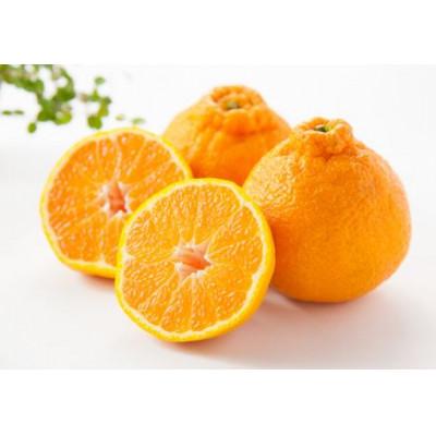 ふるさと納税 吉野ヶ里町 デコポン 計約5kg 佐賀県産(吉野ヶ里町)