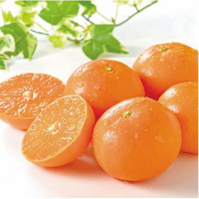 ふるさと納税 吉野ヶ里町 はまさき計2.5kg化粧箱入り(吉野ヶ里町)