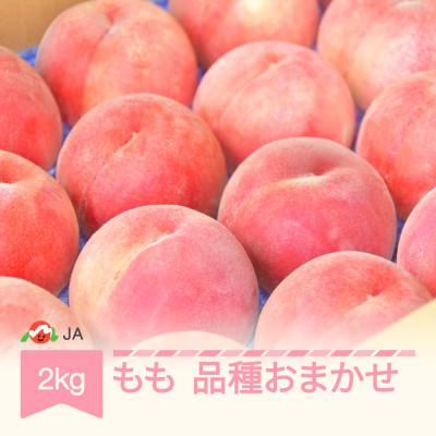 ふるさと納税 村山市 [先行受付]もも 品種おまかせ 約2kg 令和8年産