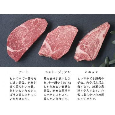 ふるさと納税 高松市 A5等級オリーブ牛 シャトーブリアン・ヒレステーキ食べくらべセット
