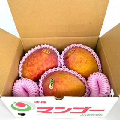 ふるさと納税 中城村 [2026年6月から順次発送・訳あり]アップルマンゴー1.5kg(3〜6玉)