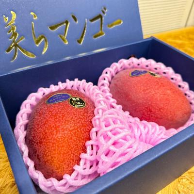 ふるさと納税 中城村 [2026年6月から順次発送・数量限定]糖度15度以上を選別した「美らマンゴー」約900g(2玉)