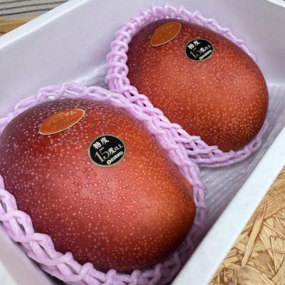 ふるさと納税 中城村 [2026年6月から順次発送・数量限定]糖度15度以上を選別した「プレミアムマンゴー」2玉