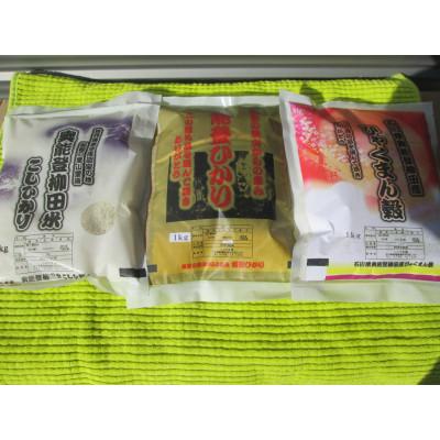 ふるさと納税 能登町 令和7年産 奥能登柳田米 3兄弟(こしひかり1Kg 能登ひかり1Kg ひゃくまん穀1Kg)合計3Kg