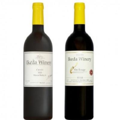 ふるさと納税 甲州市 イケダワイナリー 2本セット[マスカットベリーA / ヴァン・ルージュ]B12-676