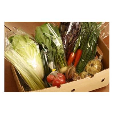 ふるさと納税 さくら市 [産地直送]採りたて野菜と昔ながらの手づくり加工品セット≪旬の野菜 詰め合わせ 栃木県産≫