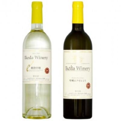 ふるさと納税 甲州市 イケダワイナリー 2本セット[樽熟甲州 / 甲州エクセレント]B12-667