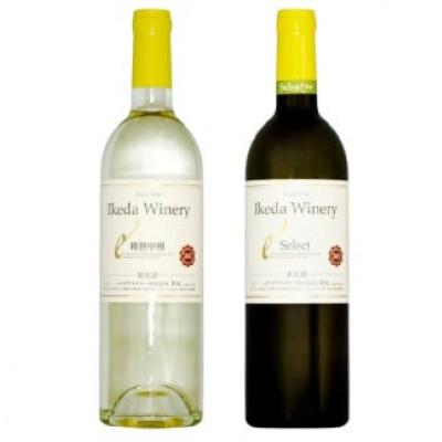 ふるさと納税 甲州市 イケダワイナリー 2本セット[樽熟甲州 / セレクト白]B14-660