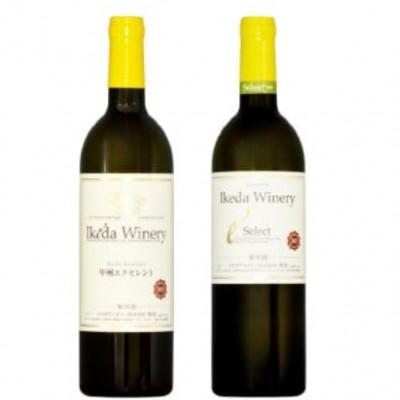 ふるさと納税 甲州市 イケダワイナリー 2本セット[甲州エクセレント / セレクト白]B15-746