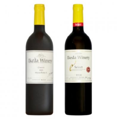 ふるさと納税 甲州市 イケダワイナリー 2本セット[マスカットベリーA / セレクト赤]B15-748