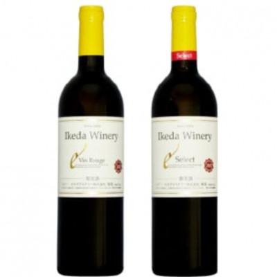 ふるさと納税 甲州市 イケダワイナリー 2本セット[ヴァン・ルージュ / セレクト赤]B15-750