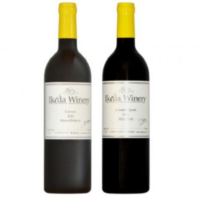 ふるさと納税 甲州市 イケダワイナリー 2本セット[マスカットベリーA / グラン・キュヴェ メルロー]B18-664