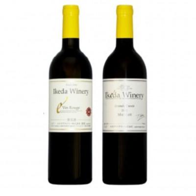 ふるさと納税 甲州市 イケダワイナリー 2本セット[ヴァン・ルージュ / グラン・キュヴェ メルロー]B18-667