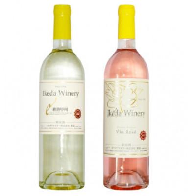 ふるさと納税 甲州市 イケダワイナリー 2本セット[樽熟甲州 / ヴァン・ロゼ]B12-668