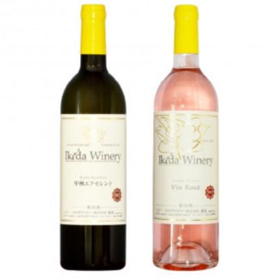 ふるさと納税 甲州市 イケダワイナリー 2本セット[甲州エクセレント / ヴァン・ロゼ]B12-671