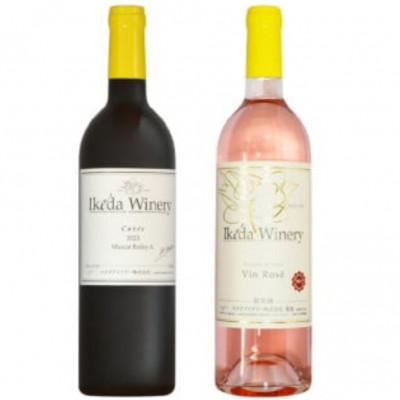 ふるさと納税 甲州市 イケダワイナリー 2本セット[マスカットベリーA / ヴァン・ロゼ]B12-674