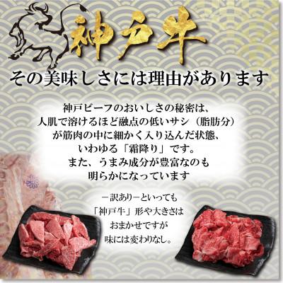 ふるさと納税 養父市 訳あり 神戸牛 切落し肉・焼肉用 400gずつ 計800g YBSY2 |  | 01