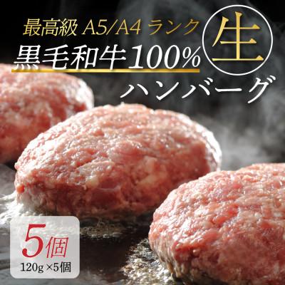 ふるさと納税 阪南市 最高級A5/A4等級 黒毛和牛100%使用!手作りハンバーグ(120g×5個)