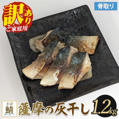 ふるさと納税 指宿市 [訳あり・家庭用]薩摩の灰干し 鯖 1.2kg(010-1996)