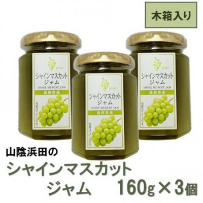 ふるさと納税 浜田市 山陰浜田のシャインマスカットジャム [木箱入り]160g×3個