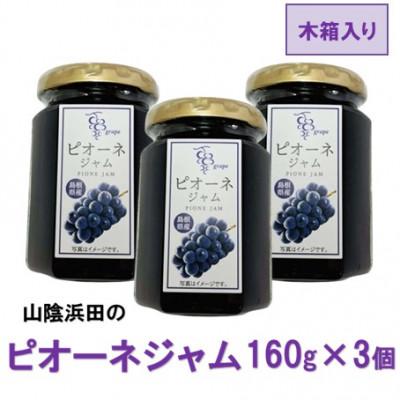 ふるさと納税 浜田市 山陰浜田のピオーネジャム[木箱入り]160g×3個
