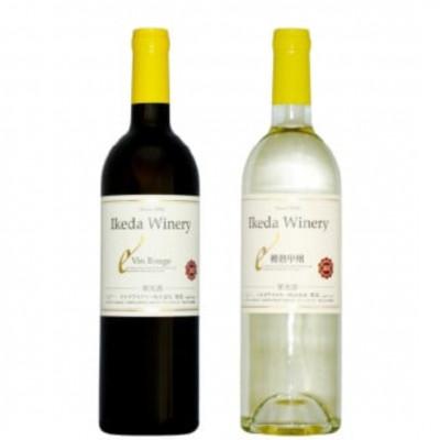 ふるさと納税 甲州市 イケダワイナリー 2本セット[ヴァン・ルージュ / 樽熟甲州]B12-670