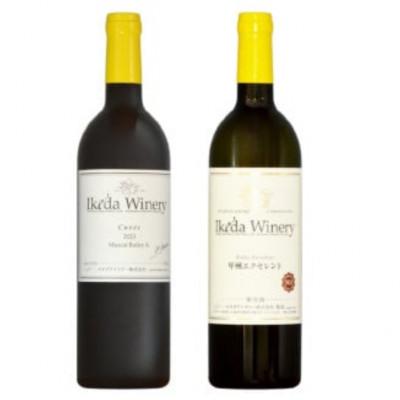 ふるさと納税 甲州市 イケダワイナリー 2本セット[マスカットベリーA / 甲州エクセレント]B12-672