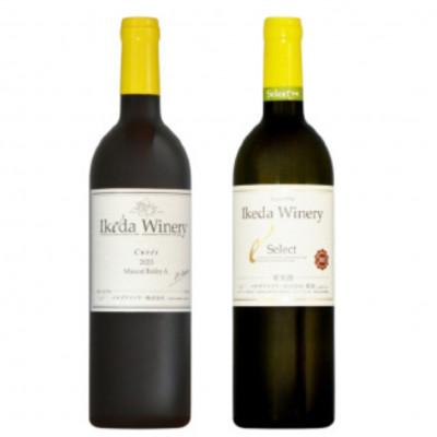 ふるさと納税 甲州市 イケダワイナリー 2本セット[マスカットベリーA / セレクト白]B14-662
