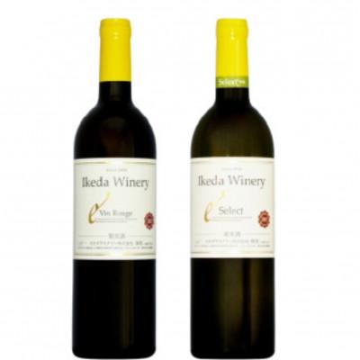 ふるさと納税 甲州市 イケダワイナリー 2本セット[ヴァン・ルージュ / セレクト白]B14-663