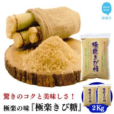 ふるさと納税 新居浜市 種子島のさとうきび本来の風味を残す『極楽きび糖』 1kg×2袋「極楽塩」入り