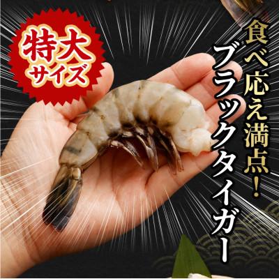 ふるさと納税 阪南市 特大 ブラックタイガー 無頭えび 15尾×3セット1.7kg前後 |  | 01