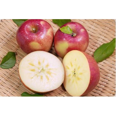 ふるさと納税 青森市 [2025年12月発送予定]平均糖度13度以上! おもてなし用葉とらずサンふじ 約3kg