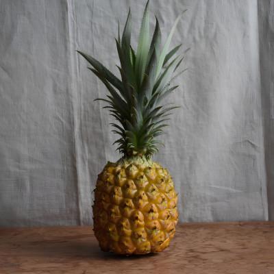 ふるさと納税 大宜味村 [有機JAS認証]ボゴールパイン 約2kg(2〜3玉)