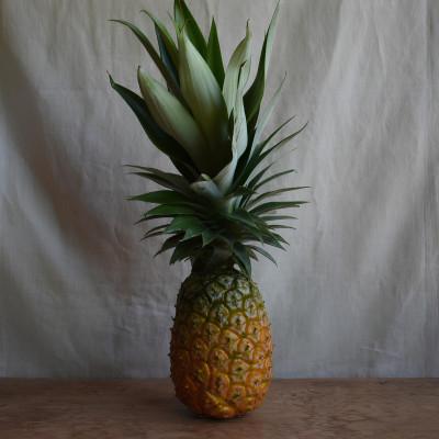 ふるさと納税 大宜味村 [有機JAS認証]Nパイン 約3kg(2〜4玉)