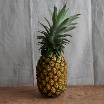 ふるさと納税 大宜味村 [有機JAS認証]ゴールドバレル 約3kg(2〜4玉)