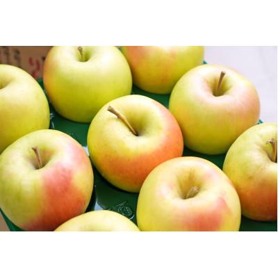 ふるさと納税 青森市 [2025年12月発送予定]糖度13度以上保証!ぐんま名月約3kg(6〜18玉)訳あり