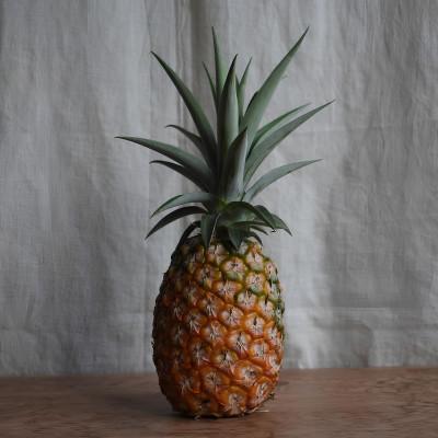 ふるさと納税 大宜味村 [有機JAS認証]サンドルチェ 約2kg(2〜3玉)