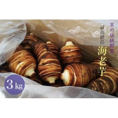 ふるさと納税 亀岡市 京の伝統野菜 海老芋 3kg