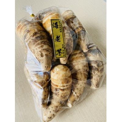 ふるさと納税 亀岡市 京の伝統野菜 海老芋 こえびちゃん 計3kg