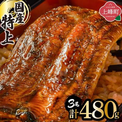 ふるさと納税 上峰町 国産うなぎ蒲焼160g×3尾(計480g)(上峰町) | 